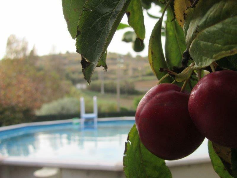 Quintal Do Freixo - Country House Sobral de Monte Agraço المظهر الخارجي الصورة
